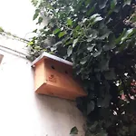 Le Nichoir Aux Oiseaux