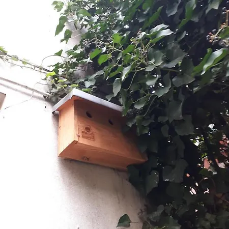 Le Nichoir Aux Oiseaux