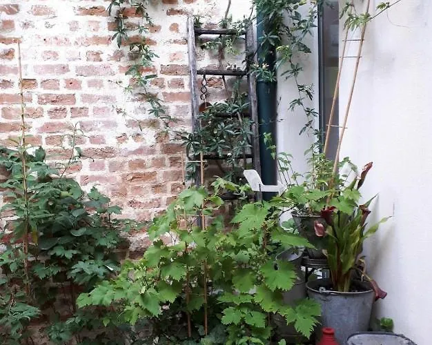 Le Nichoir Aux Oiseaux Apartmán *