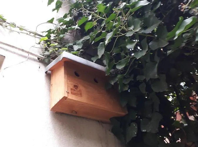 Le Nichoir Aux Oiseaux