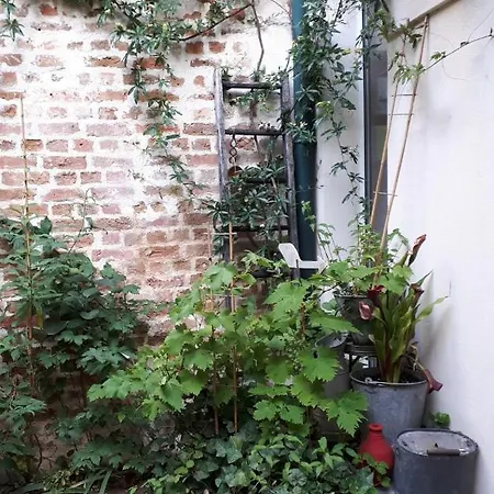 Le Nichoir Aux Oiseaux Apartment *